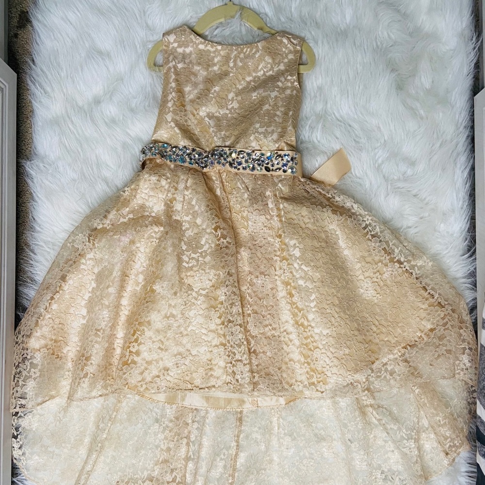Little Girls flower Lace dress